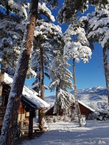 Chalets Magnifique chalet en rondins avec sauna - Vercors : photos des chambres