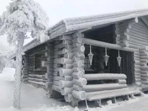 Iso-Syötteen Kelokolo Soarvesalvu - Ranua