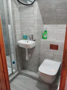 Uroczy apartament