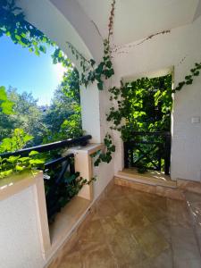 La Terraza del Oasis