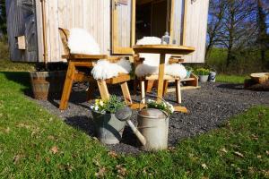 Little Ash Glamping - Luxury Shepherds Huts