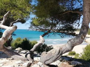 Appartements STUDIO VUE MER ET CHATEAU EN PROVENCE : photos des chambres