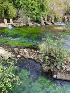 Sejours chez l'habitant Chambre vue sur La Sorgue : photos des chambres