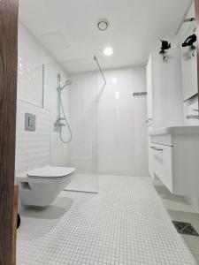 Scandian Apartments - City Centre Tallinn