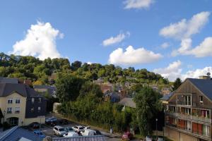Appartements Les Coquelicots : photos des chambres