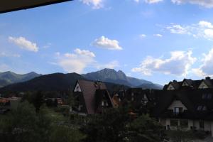 Apartamenty Pardałówka 50