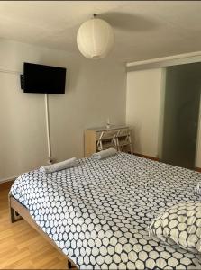 Appartements F1 Rouen gare beauvoisine parking gratuit : Appartement 1 Chambre