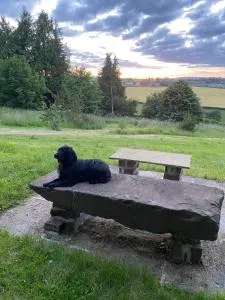 Thatch Close Cottages - 瓦伊河畔罗斯