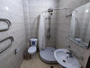 Guesthouse White Swan