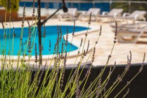 Villa Milina Korcula