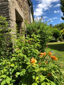 Maisons de vacances Les Mesleries : photos des chambres