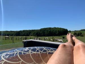B&B / Chambres d'hotes La Ferme du Bonheur : photos des chambres