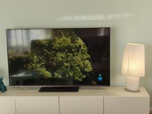 Apartamento Graviña