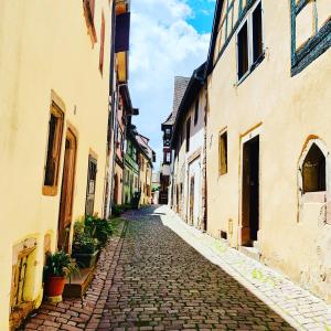 Appartements LA RUELLE ALSACIENNE, Charme Alsacien et Confort Moderne : photos des chambres