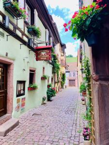 Appartements LA RUELLE ALSACIENNE, Charme Alsacien et Confort Moderne : photos des chambres