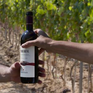 Appartamento Maria's House img57