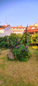 Pisos Vistalegre 2B con jardín cerca del mar