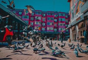 Chlo apartment 1 Tirane