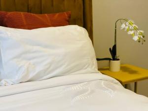 Mikeys Place on Lever with Fibre Uncapped WiFi