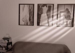 DomusAuroom, RELAX nel cuore della Versilia - Pet Friendly