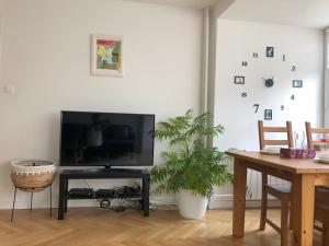 Comfortable and cosy apartment 3 beds-city center