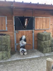 Maisons de vacances Little InterVal : photos des chambres