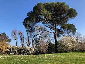 Appartements La Suite a Chateau Franc Daut : photos des chambres