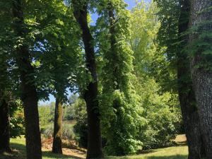 Appartements La Suite a Chateau Franc Daut : photos des chambres