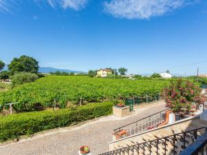 Holiday Home Borgo Agrituristico Il Pino-1 by Interhome