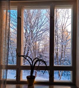 Vanhan Koulun Majatalo-Old School Guest House