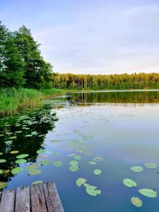 Osada Kujanki - domek wakacyjny