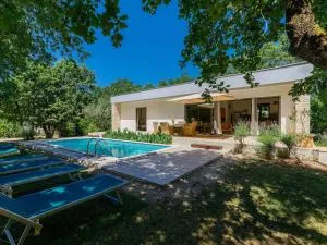 Holiday Home Villa Frleti by Interhome - Buroli