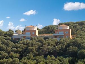 Olive Tree Hillside Apartment