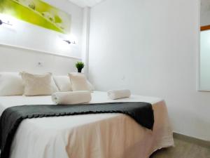 Nomadic Friendly holiday home