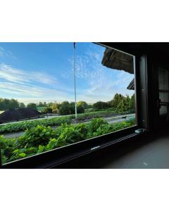 Brīvdienu māja Ezerkalni