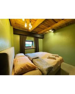 Brīvdienu māja Ezerkalni