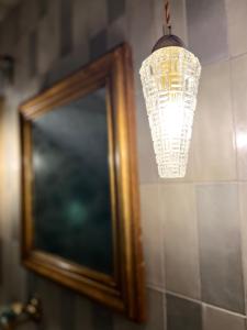 Appartements Superbe appartement au chateau d'Allaman de 80m2 : photos des chambres