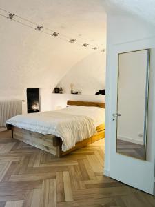 Appartements Superbe appartement au chateau d'Allaman de 80m2 : photos des chambres