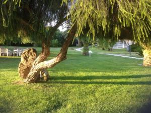 Cala Rosa Club Hotel img54