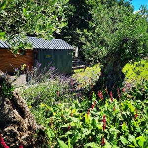 Campings Le monde d'Echozellia : photos des chambres