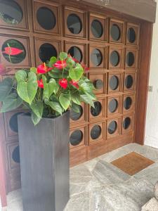 Villa Hochbahn in Schönau am Königssee