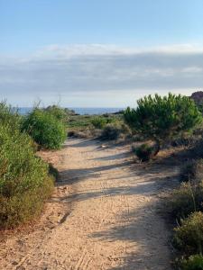 Residence Cala Rossa img36