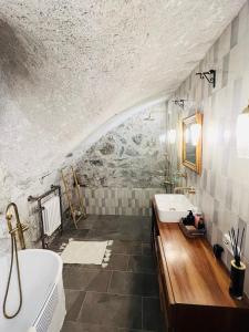Appartements Superbe appartement au chateau d'Allaman de 80m2 : photos des chambres
