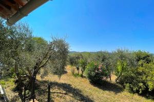 Maisons de vacances Mas provencal de charme - 6 personnes - proche de Grasse : photos des chambres