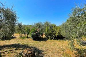 Maisons de vacances Mas provencal de charme - 6 personnes - proche de Grasse : photos des chambres