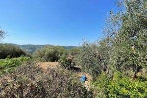 Maisons de vacances Mas provencal de charme - 6 personnes - proche de Grasse : Maison de Vacances