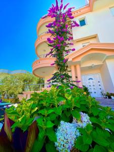 Apartments Dielli