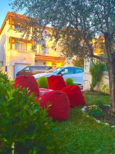Apartments Dielli