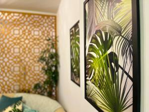 Apartamento dos Sonhos - Centro BC