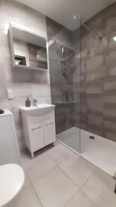 Apartament Centrum Prusa